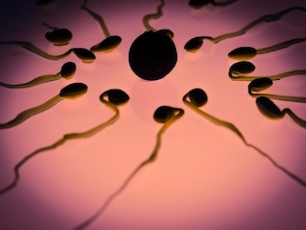 Rising Male Infertility A Catastrophe Waiting to Happen