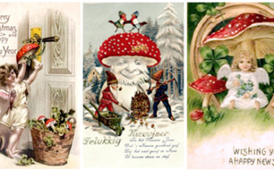 Santa Claus the Magic Mushroom & the  Psychedelic Origins of Christmas