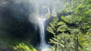 Photos of Falls Creek Falls