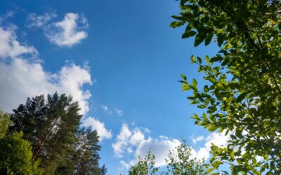 Investing in planetary health could unlock  trillion a year by 2070, says UN report