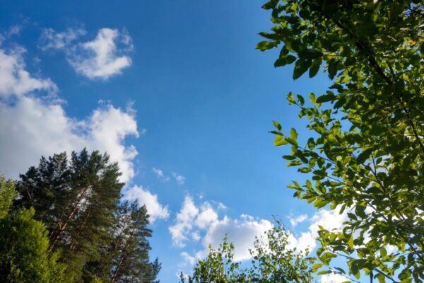 Investing in planetary health could unlock  trillion a year by 2070, says UN report