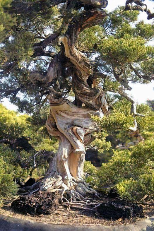 Our Sacred Planet Mother Earth in all of it’s Amazing Beauty and the Quote of the Day 34
