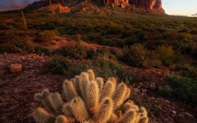 Our Sacred Planet Mother Earth in all of it’s Amazing Beauty and the Quote of the Day 30