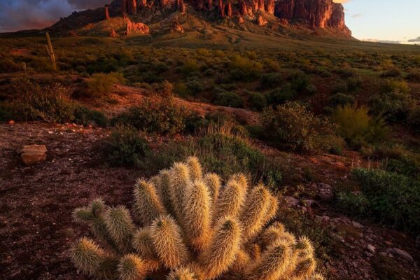 Our Sacred Planet Mother Earth in all of it’s Amazing Beauty and the Quote of the Day 30