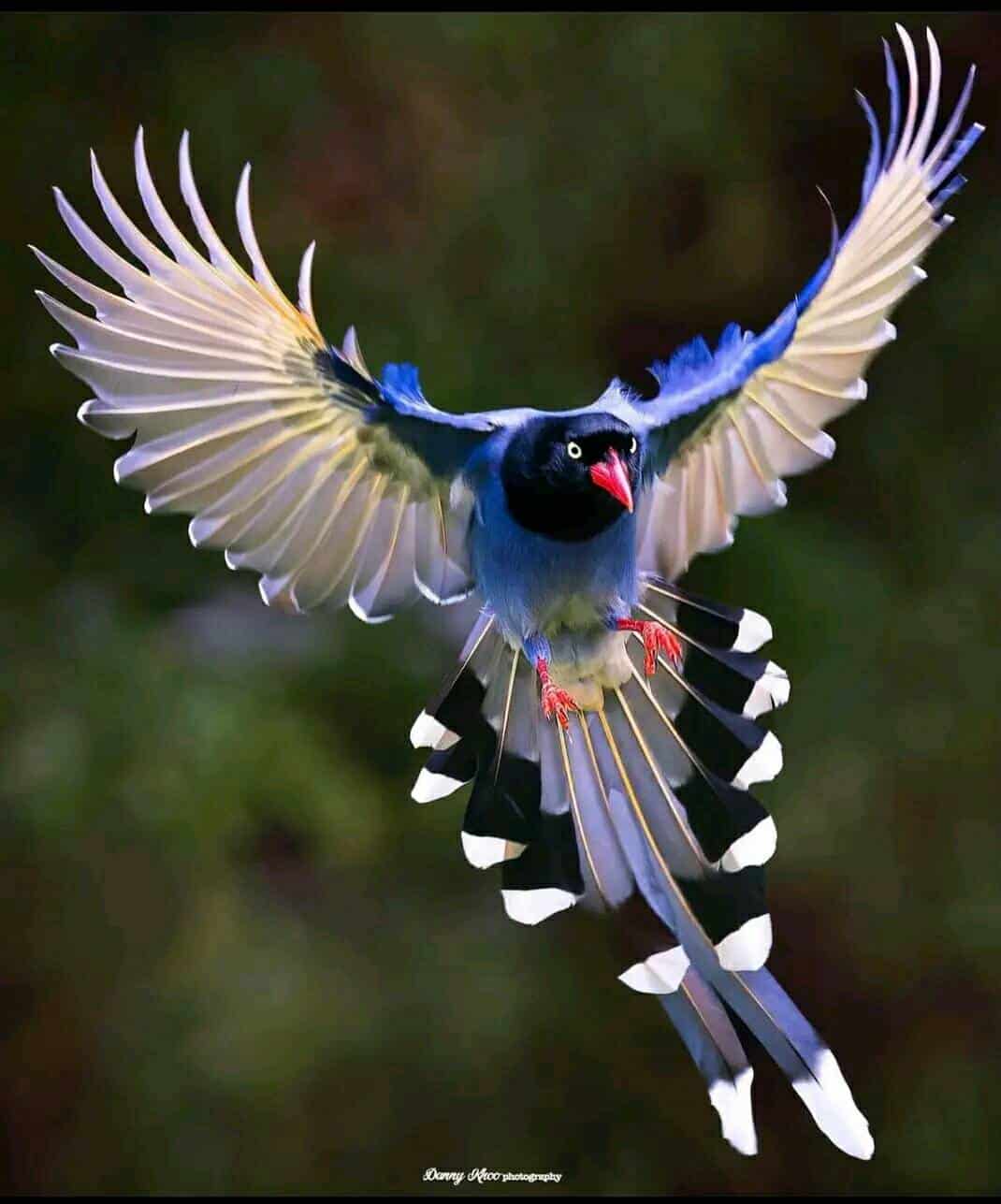 Our Sacred Planet Mother Earth in all of it’s Amazing Beauty and the Quote of the Day 13