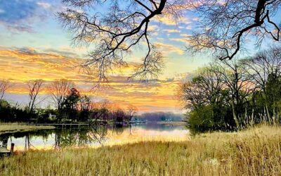 Our Sacred Planet Mother Earth in all of it’s Amazing Beauty and the Quote of the Day 26