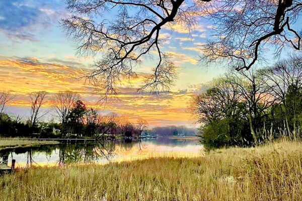 Our Sacred Planet Mother Earth in all of it’s Amazing Beauty and the Quote of the Day 26