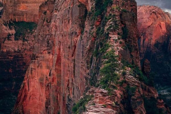 Our Sacred Planet Mother Earth in all of it’s Amazing Beauty and the Quote of the Day 24