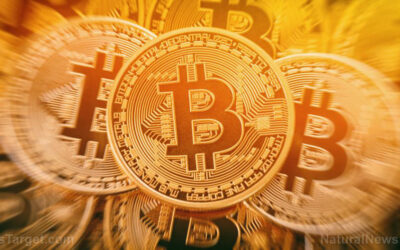 Russia softens crypto stance: Retail investors allowed limited Bitcoin access under new regulatory framework