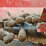 Cellar Insights pockets 0,000 investment to help it protect potatoes
