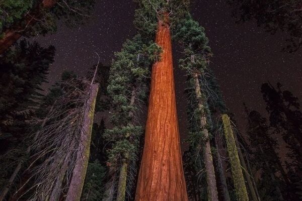 Our Sacred Planet Mother Earth in all of it’s Amazing Beauty and the Quote of the Day 38