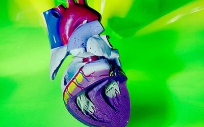 Thinking With The Heart
