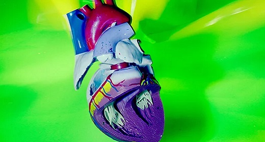 Thinking With The Heart