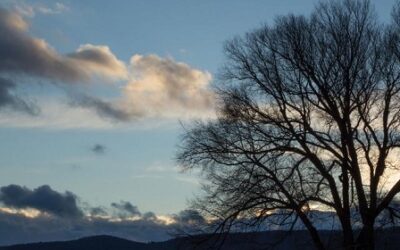 Resolutions vs. Intentions: A New Ritual For The New Year