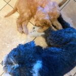 1.23 Friday Faves best-friends-856x1024-1