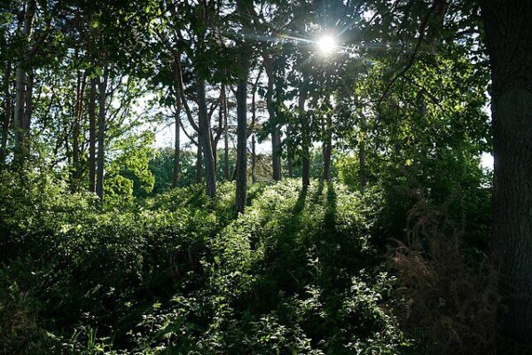 Mystical Mounds, Barrows & Leylines of Prehistoric & Celtic London