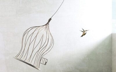 6 Tools For More Freedom—The Buddhist Way