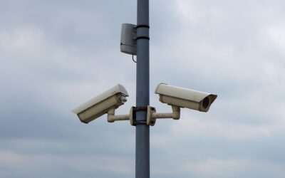 Nullify the Police State: The People’s Veto to Rein in a Lawless Government