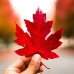 Nine Canadian companies make the 2026 Global Cleantech 100