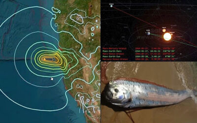 Oarfish washes ashore in California as rare planetary alignment unfolds — All signs point to  a major Earthquake?
