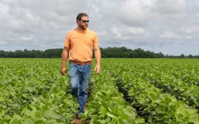 Farmland Shock: Georgia Grower Drops 3,000 Acres, Warns of Unplanted Ground in 2026