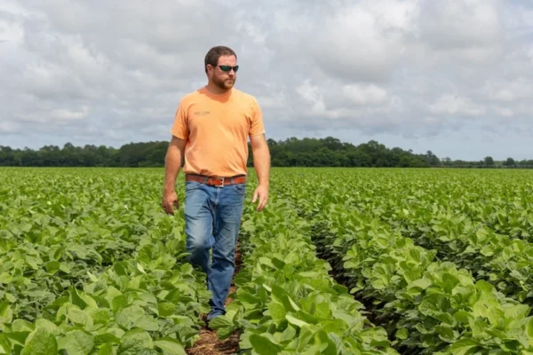 Farmland Shock: Georgia Grower Drops 3,000 Acres, Warns of Unplanted Ground in 2026