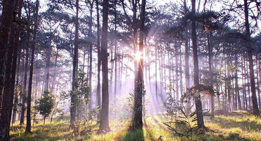 The Seven Keys to Awakening – Leonard Jacobson