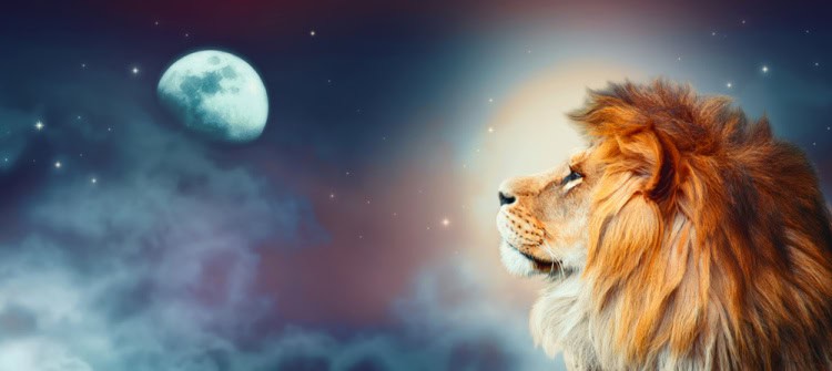 Full Moon in Leo 2026 – and Tarot Readings for Every Zodiac Sign