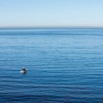 Oceantech accelerator Blue Action Canada opens applications for second cohort