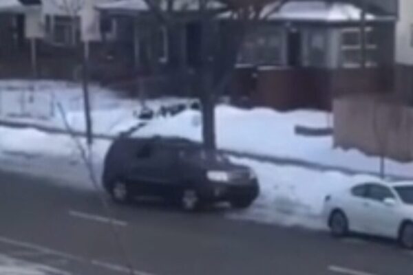 BREAKING: Woman Fatally Shot by ICE For Attempting to Run Over Agent Identified