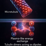 Awakening to a Co-Creative Plasma Reality kippeld1_html_m4c4bbd0
