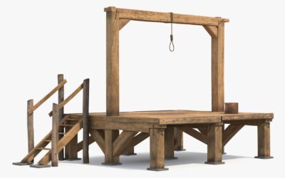 Stop the Steal: Projection, Retaliation, and the Theft of Our Republic