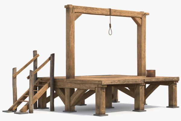 Stop the Steal: Projection, Retaliation, and the Theft of Our Republic