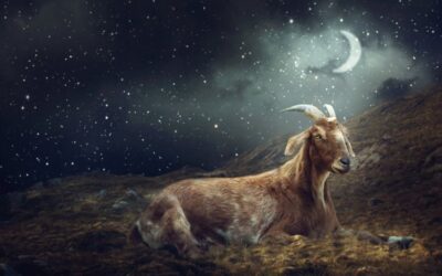 New Moon in Capricorn 2026 – and Tarot Readings for Every Zodiac Sign