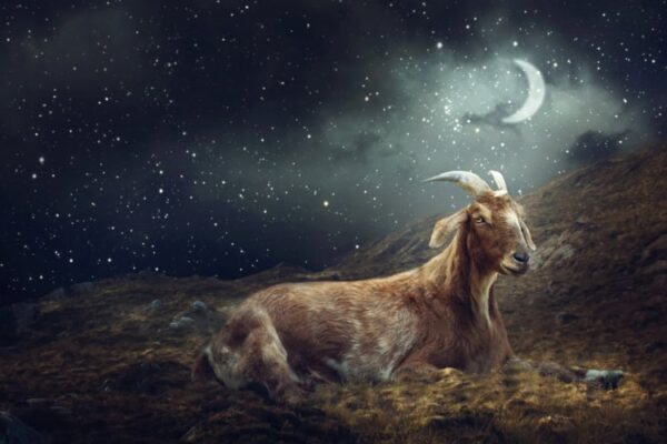 New Moon in Capricorn 2026 – and Tarot Readings for Every Zodiac Sign