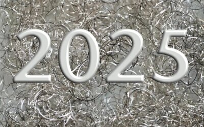 2025 Ended in Tumultuous Fashion