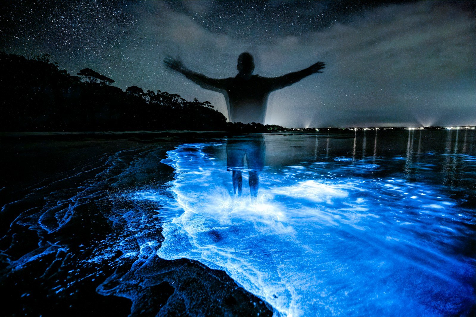 Best Places to See Bioluminescence – Nature’s Most Magical Light Show – Spirit Web