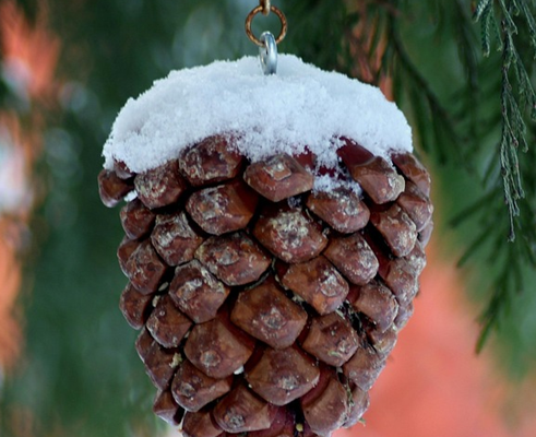 Heavenly Headlines – January