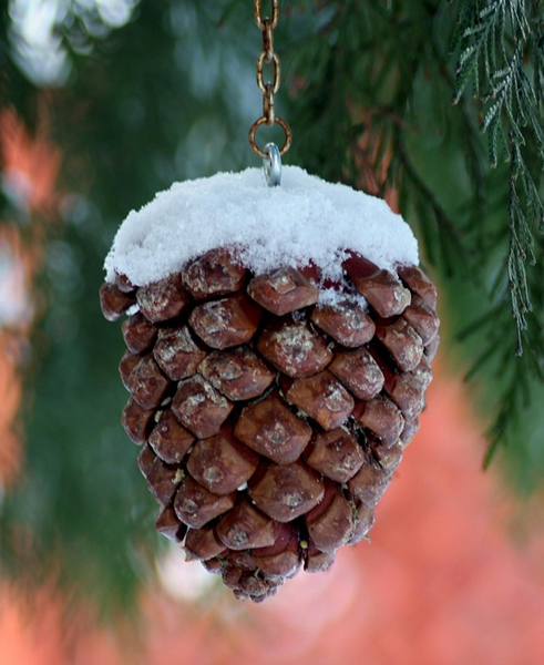 Heavenly Headlines – January