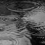 puddle-2584378_640