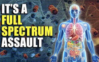 80,000 Toxins Every Day!! – The Deadly Truth About Your Food, Water, Skincare & Morning Joe!!
