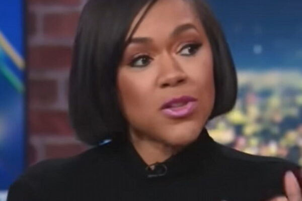 Liberal Commentator Who Was Too Crazy for MSNBC Goes on CNN and Claims That ICE is Filled With Members of the Proud Boys (VIDEO)