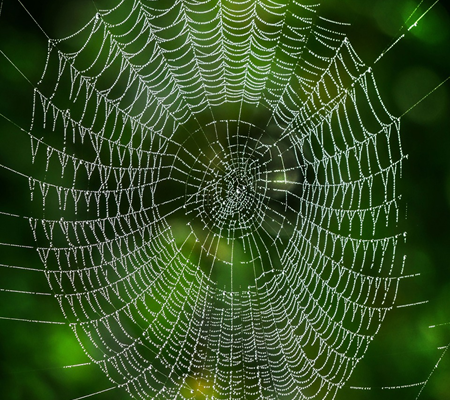 Midpoints  – tracking the connections