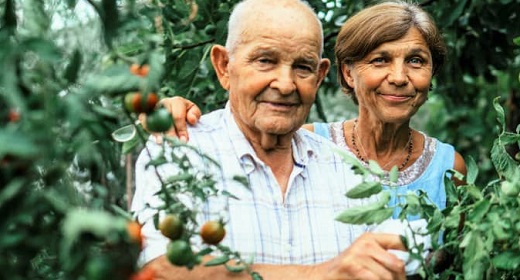 The World’s Longest-Living People Share This Hobby