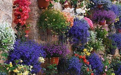 Our Sacred Planet Mother Earth in all of it’s Amazing Beauty and the Quote of the Day 47