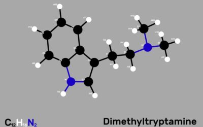 Single dose of DMT shows promise for treatment-resistant depression in early clinical trial