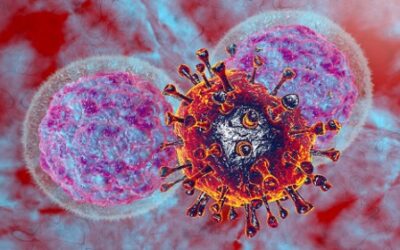 Scientists Learn What Fuels The ‘Natural Killers’ Of The Immune System
