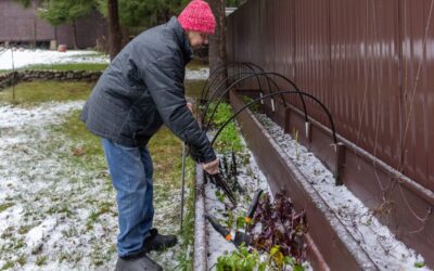 5 smart ways to prep your garden now for a stunning spring bloom