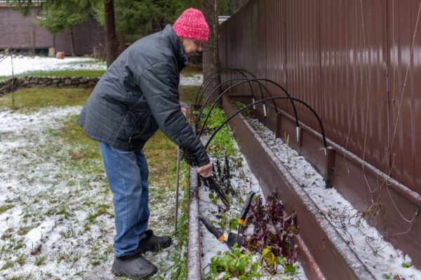 5 smart ways to prep your garden now for a stunning spring bloom