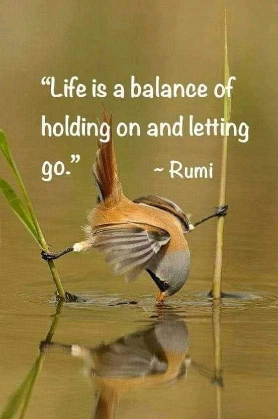 Daily Quote Rumi 4-awaken